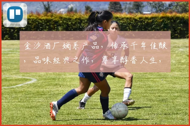 金沙酒厂嫡系产品，传承千年佳酿，品味经典之作，尊享醇香人生，品质之选，尽在金沙。