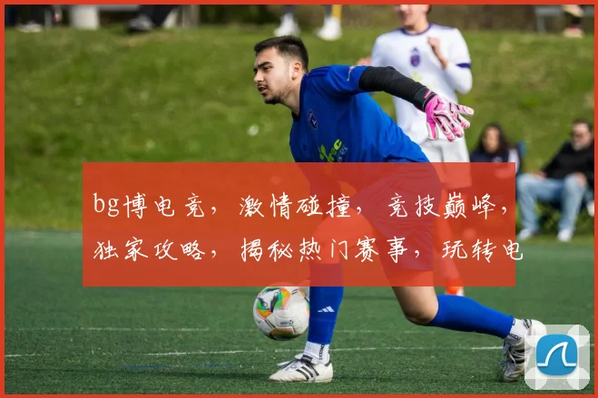 bg博电竞，激情碰撞，竞技巅峰，独家攻略，揭秘热门赛事，玩转电竞世界