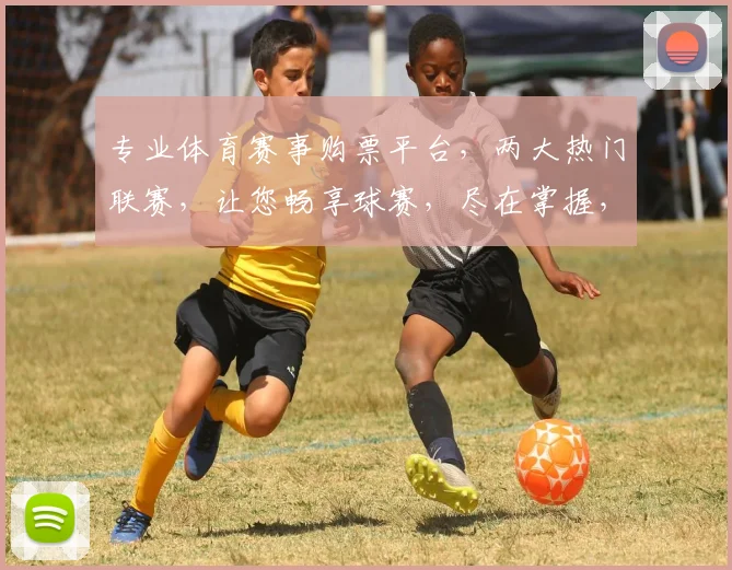 专业体育赛事购票平台，两大热门联赛，让您畅享球赛，尽在掌握，快速便捷，轻松购票。